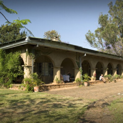 tea estate 